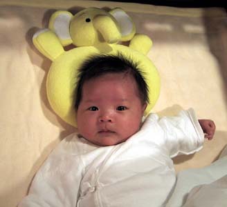 �ؑ��@����